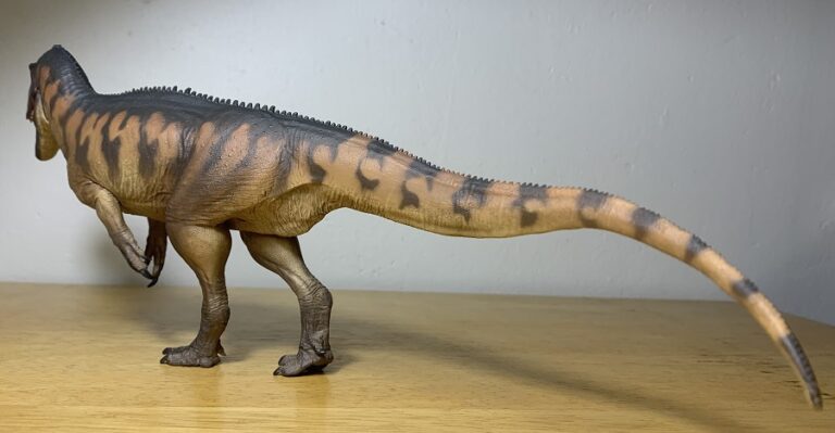 Yangchuanosaurus (dapeng) (prehistoric Animal Models By Pnso 