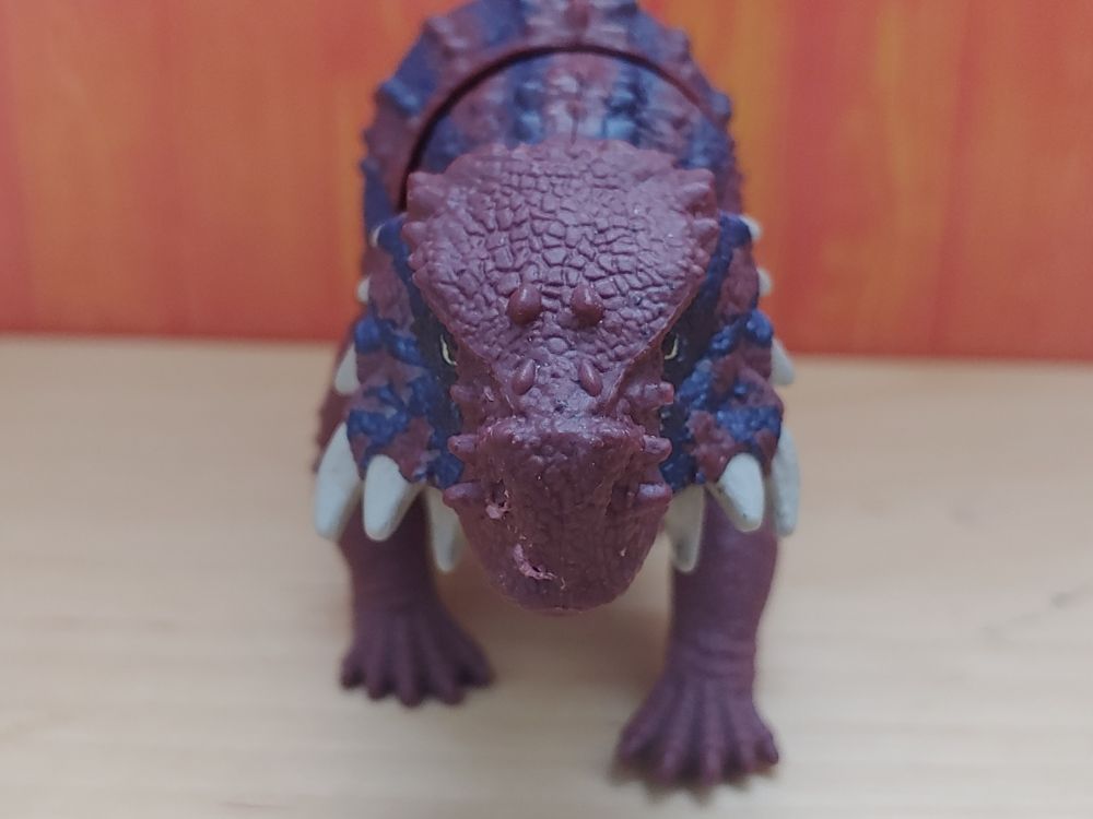 Scutosaurus figure facing towards the front, with head titled down