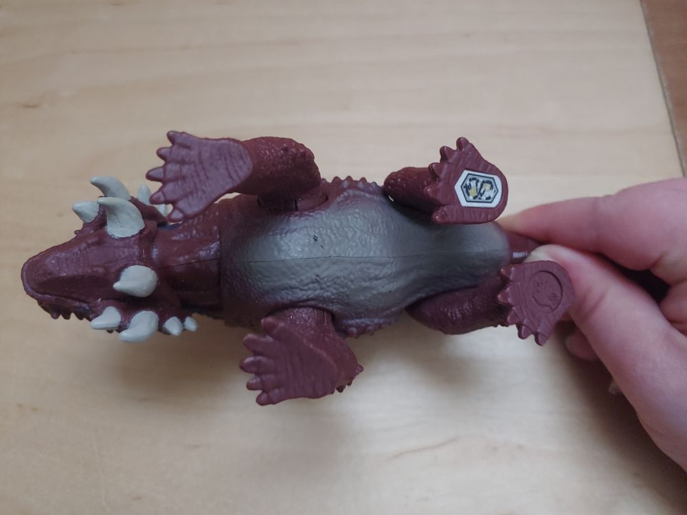 A look at the underside or belly of the Scutosaurus figure, with the head facing towards the left