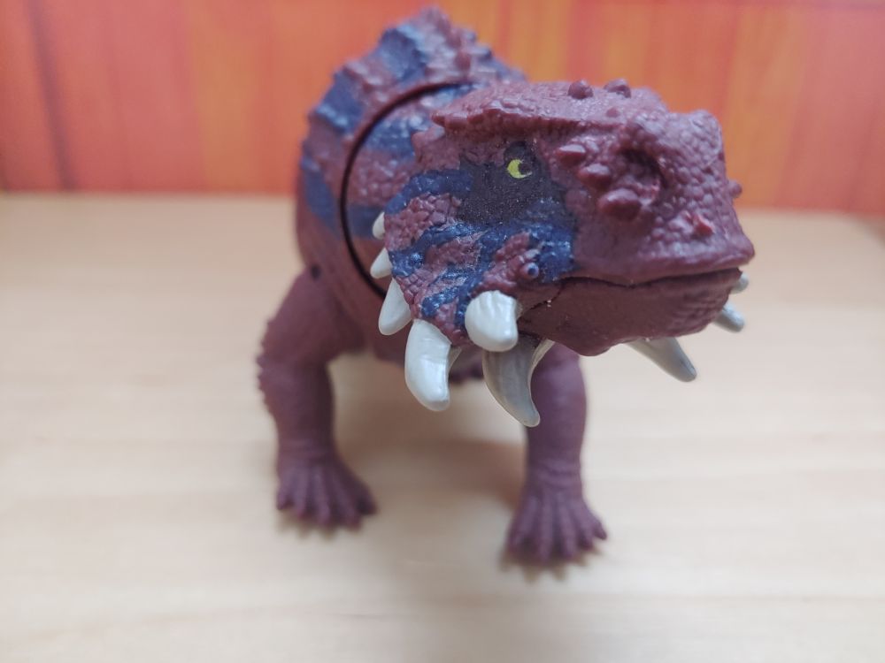 Scutosaurus figure facing towards the front, with head titled to the right side