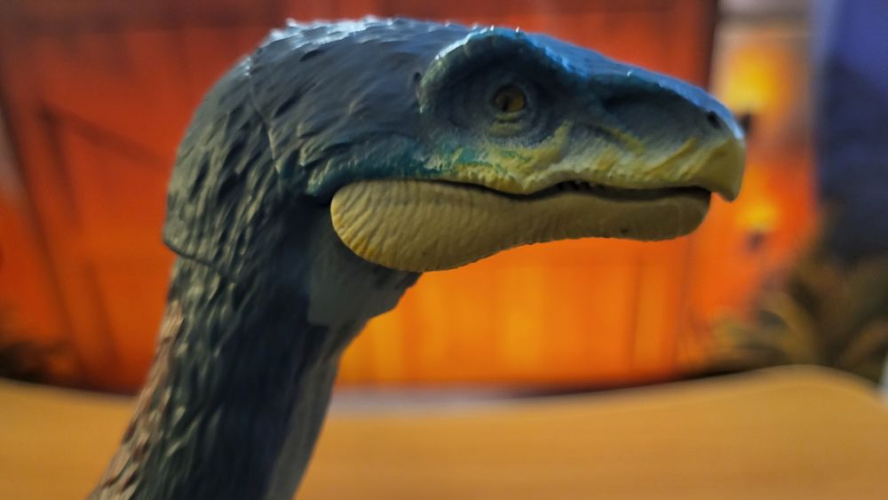 Therizinosaurus facing towards the right, side view, in standing pose, close up of the head