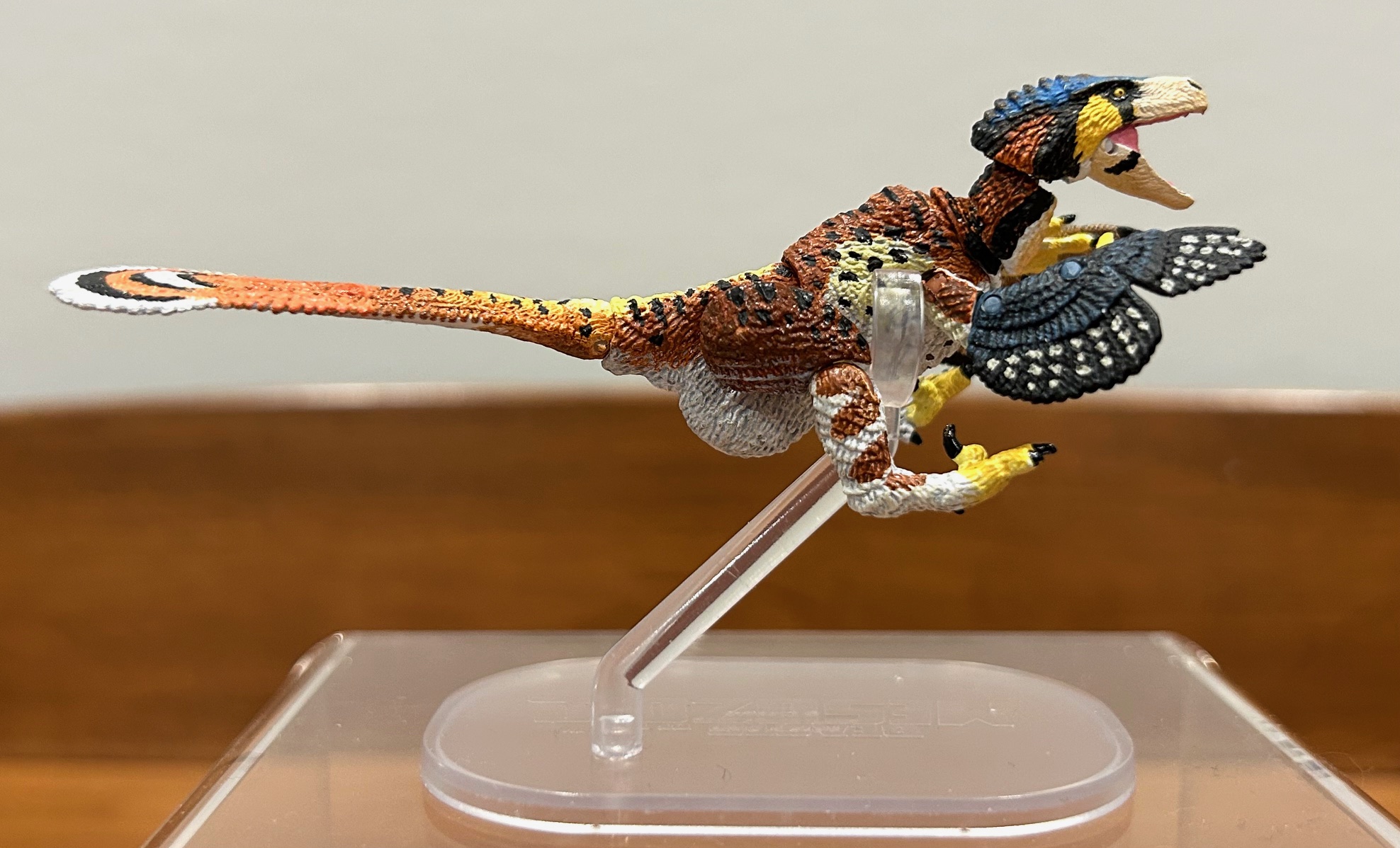 Read more about the article Dromaeosaurus albertensis (Fans’ Choice)(1:18 Scale)(Beasts of the Mesozoic by Creative Beast Studio)<div class="yasr-vv-stars-title-container"><div class='yasr-stars-title yasr-rater-stars'
                          id='yasr-visitor-votes-readonly-rater-e8a5e66414a46'
                          data-rating='5'
                          data-rater-starsize='16'
                          data-rater-postid='62916'
                          data-rater-readonly='true'
                          data-readonly-attribute='true'
                      ></div><span class='yasr-stars-title-average'>5 (1)</span></div>