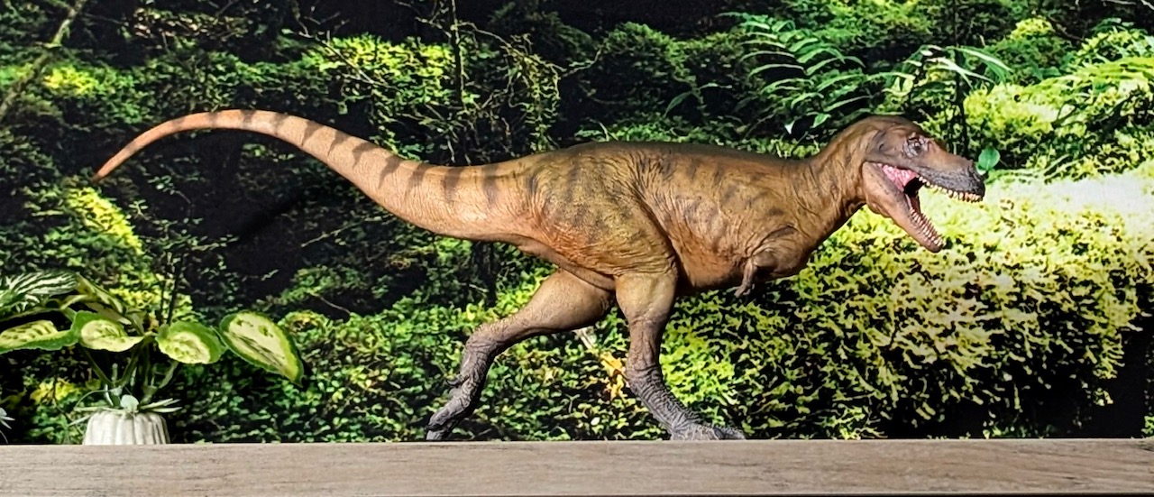 Read more about the article Albertosaurus (PNSO)<div class="yasr-vv-stars-title-container"><div class='yasr-stars-title yasr-rater-stars'
                          id='yasr-visitor-votes-readonly-rater-768cc15ba6538'
                          data-rating='5'
                          data-rater-starsize='16'
                          data-rater-postid='64652'
                          data-rater-readonly='true'
                          data-readonly-attribute='true'
                      ></div><span class='yasr-stars-title-average'>5 (3)</span></div>