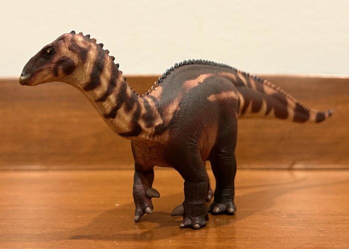 Read more about the article Lurdusaurus (PNSO)