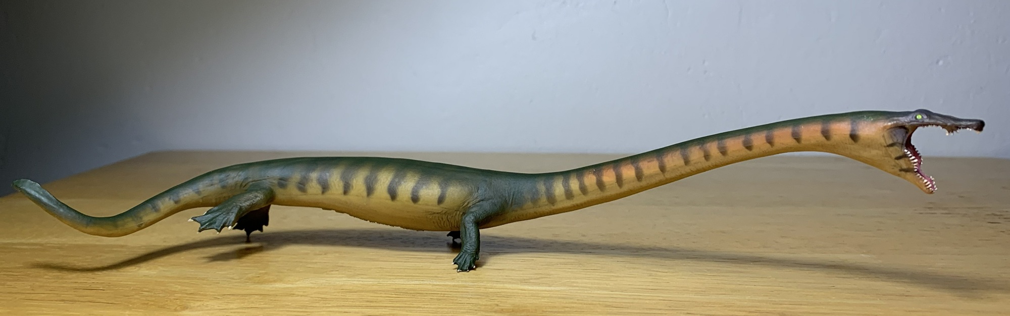 Read more about the article Dinocephalosaurus (Xiaochong) (Prehistoric Animal Models by PNSO)