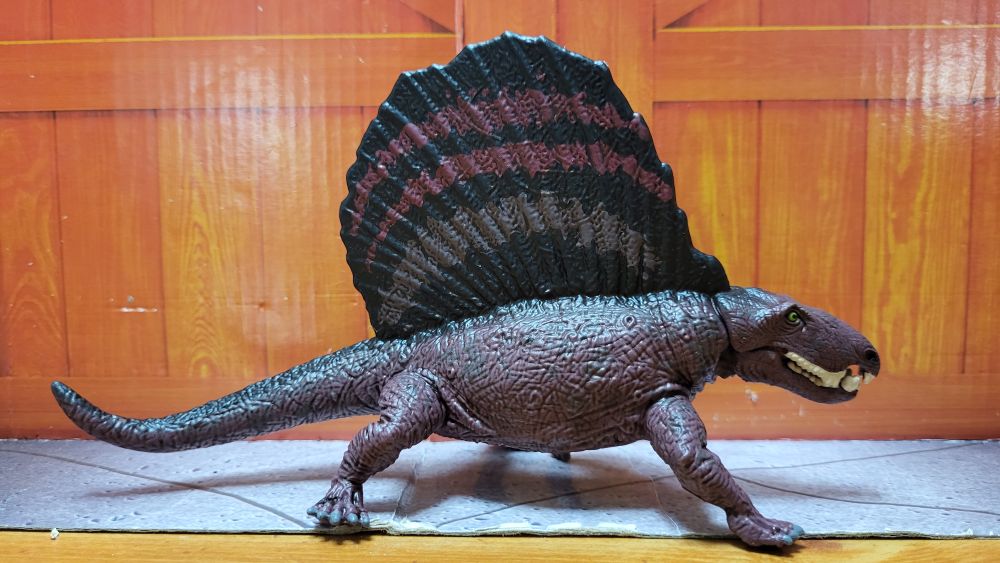 View of the figure's right side, jaw closed