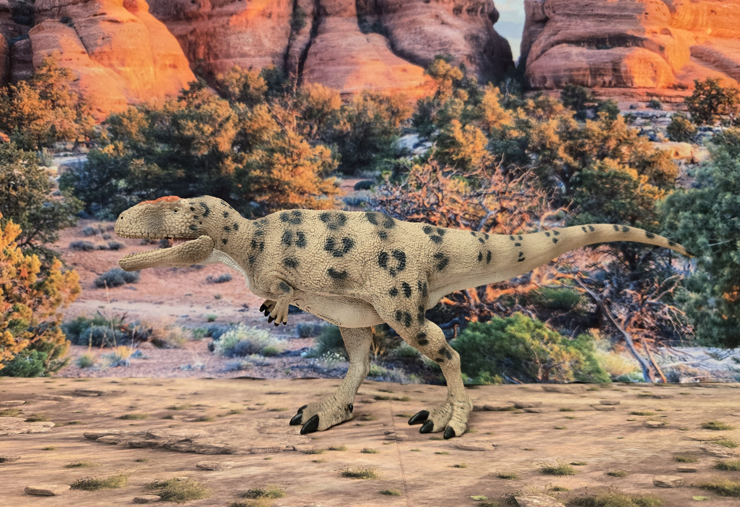 Read more about the article Meraxes (Prehistoric World Deluxe by CollectA)