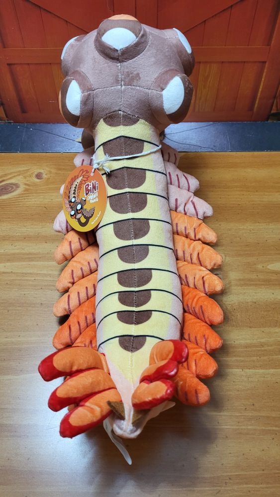 A look at the backside of the plush with the head facing away from the camera