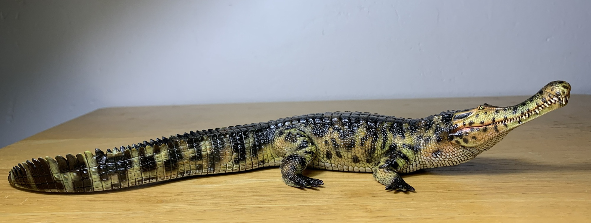 Read more about the article Sarcosuchus (Haolonggood)